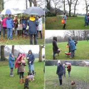 large_Woolton woods Wanderers.JPG